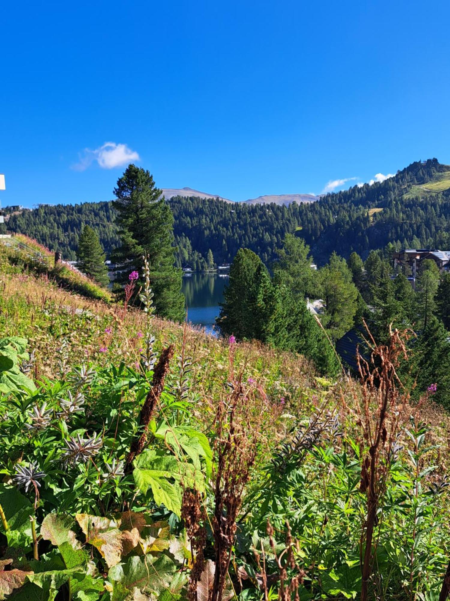 Vila Schwabenhuette Sirnitz-Sonnseite Exteriér fotografie